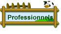 Professionnels